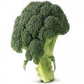 Broccoli 230+ High Quality Seeds Best for Home Kitchen Gardening High Germination Rate. 
