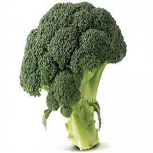 Broccoli%20230+%20High%20Quality%20Seeds%20Best%20for%20Home%20Kitchen%20Gardening%20High%20Germination%20Rate%20-%20Image%203