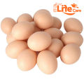 CHICKEN / Poultry Pack of 6 Artificial Plastic Eggs for Broody Hen ( Light Weight Egg Hollow from Inside ). 