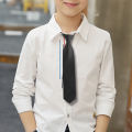 Necktie Elegant Silk Imitation Neckwear. 
