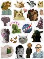 Funny Meme Stickers A5 Uncut , Mobile laptop , hilarious  Cat sponge bob , humor, witty, edgy. 