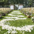 200 Pcs Silk Rose Petals Artificial Rose Flower Petal for Wedding Party Home Hotel Valentine's Day Decoration, White. 