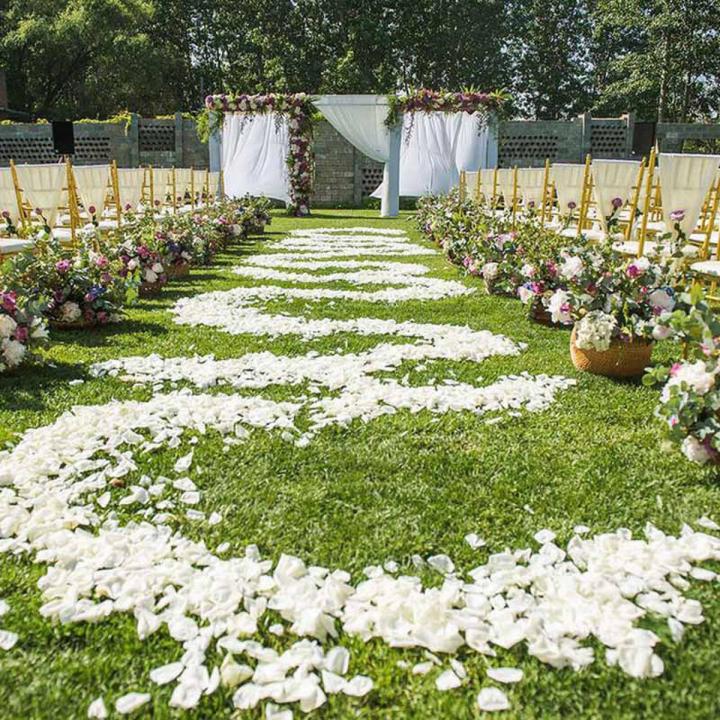 200 Pcs Silk Rose Petals Artificial Rose Flower Petal for Wedding Party Home Hotel Valentine's Day Decoration, White
