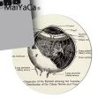 Maiyaca Ntage Anatomy The Human Eyeball Small Round Mouse Pad PC Computer Mat Smooth Writing Pad Desktops Mate Mouse Pad Anime. 