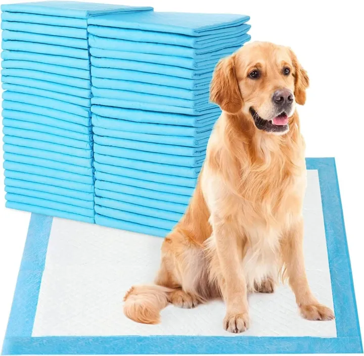 Pet Care Pack Disposable Underpads – 10 Waterproof and Super Absorbent ...