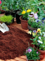 Coco Peat 1kg – Organic Cocopeat for Seedlings & Seed Sowing Mix  Ready to Use Potting Soil & Potting Mix  Natural Soil Conditioner with Moisture Retention for Healthy Root Growth  Ideal for Home Garden & Nursery Use Umbiz. 