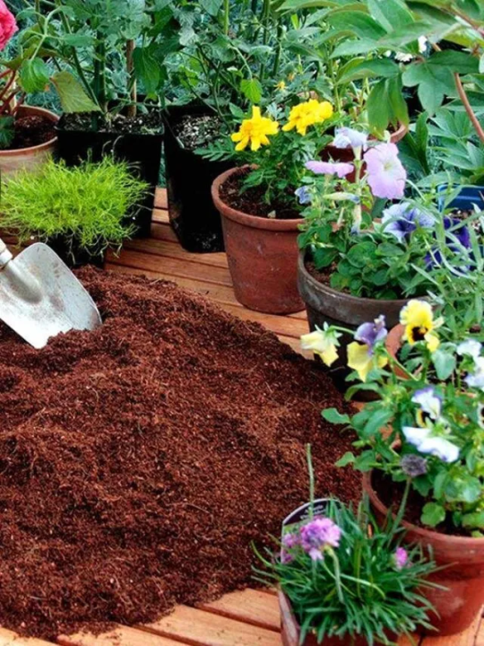 Coco%20Peat%201kg%20%E2%80%93%20Organic%20Cocopeat%20for%20Seedlings%20&%20Seed%20Sowing%20Mix%20%20Ready%20to%20Use%20Potting%20Soil%20&%20Potting%20Mix%20%20Natural%20Soil%20Conditioner%20with%20Moisture%20Retention%20for%20Healthy%20Root%20Growth%20%20Ideal%20for%20Home%20Garden%20&%20Nursery%20Use%20Umbiz%20-%20Image%203