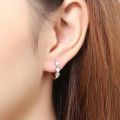 1 Pairs Magnetic Slimming Earrings Earring Weight Loss Earrings Heart Therapy Magnetic Therapy Chakra Burning Fat Health. 