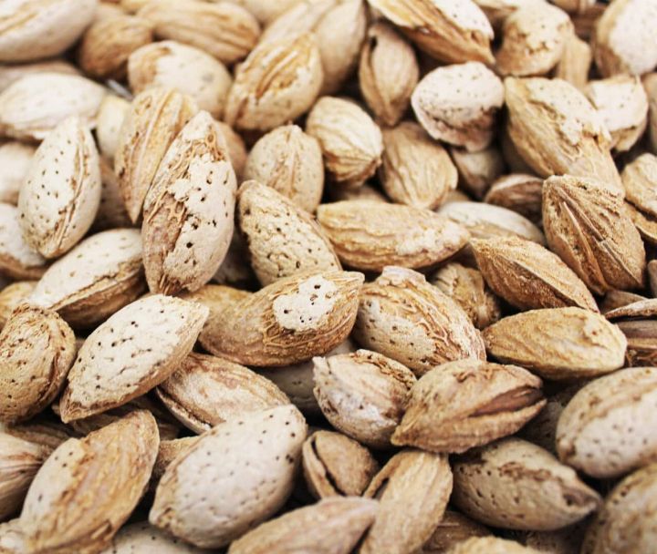 Soft-Shell%20Almond%20500gm%20Pack%20(Kaghzi%20Badam)%20-%20Image%202