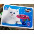 Kids Hello Cat Light, Walk, Sit Cute Cat Toy For Kids. 