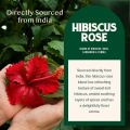 Hibiscus Green Tea Leaves ( 100g. 