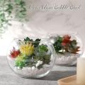 Techmanistan Transparent Decorative Fish Bowl, Fish Bowl Creative Glass Fish Tank Spherical Round Turtle Tank Desktop Decoration, Clear Glass Vase, Plant Vase Pot. 