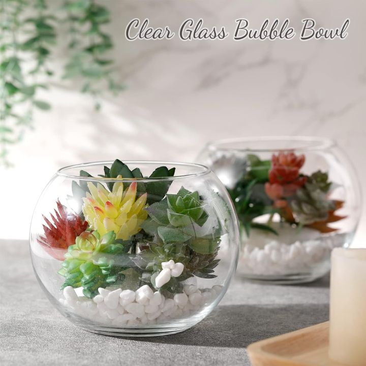 Techmanistan%20Transparent%20Decorative%20Fish%20Bowl,%20Fish%20Bowl%20Creative%20Glass%20Fish%20Tank%20Spherical%20Round%20Turtle%20Tank%20Desktop%20Decoration,%20Clear%20Glass%20Vase,%20Plant%20Vase%20Pot%20-%20Image%206