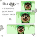 Interior Room Rugs Foot Carpets Entrance Doormat Kawaii Floor Mats Anti Slip Bath Mat Home Kitchen V-Vans Carpet Hallway Decor. 