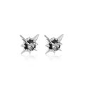 Trend Black Zircon Star Stud Earrings for Men Women Black Couple Personality  Earrings Party Accessories Jewelry. 