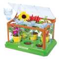 Mini Garden Scientific Plant Greenhouse Exploration  Educational Learning Toy for Kids. 