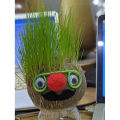 DIY Grass Head Dolls Growing Kit: Cultivate Learning and Fun with Playful Small Potted Plants for Home and Office Decoration, Hand-Watered Greenery, Educational Toy for Children's Seed Head, Desktop Decor, Stress Relief Activity, Art and Craft, Gift item. 