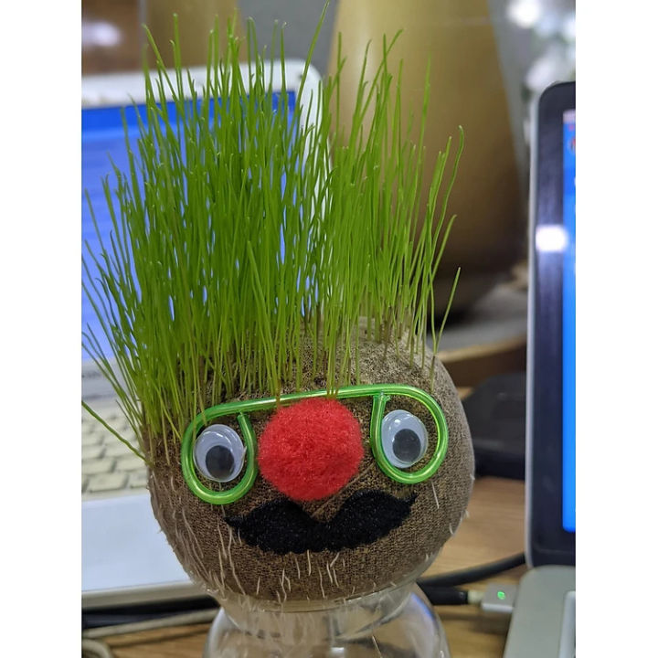 DIY%20Grass%20Head%20Dolls%20Growing%20Kit:%20Cultivate%20Learning%20and%20Fun%20with%20Playful%20Small%20Potted%20Plants%20for%20Home%20and%20Office%20Decoration,%20Hand-Watered%20Greenery,%20Educational%20Toy%20for%20Children's%20Seed%20Head,%20Desktop%20Decor,%20Stress%20Relief%20Activity,%20Art%20and%20Craft,%20Gift%20item%20-%20Image%203