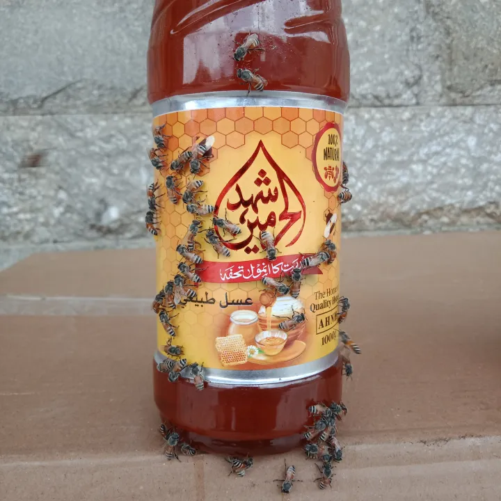 Pure%20bees%20honey%201kg%20(best%20export%20high%20quality%20honey)%20purity%20100%25%20guarantteed-%20for%20daily%20use%20-%20Image%204
