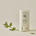 Beauty of Joseon Matte Sun Stick : Mugwort+Camelia (SPF 50+ PA++++) 18g. 