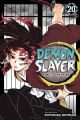 Demon Slayer: Kimetsu no Yaiba, Vol. 20 by Koyoharu Gotouge. 