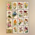 Vintage Flower Paintings Stickers for Journal Scrapbook Phone Cover. 