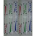 6  Inch Plastic Ruler Scale Art # 221 (6 Pcs). 