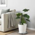 Plant Watering Sensor Ikea. 