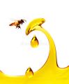 Naran Forest Bee Honey 80 g Glass Jar From the Forests of Pakistan. 
