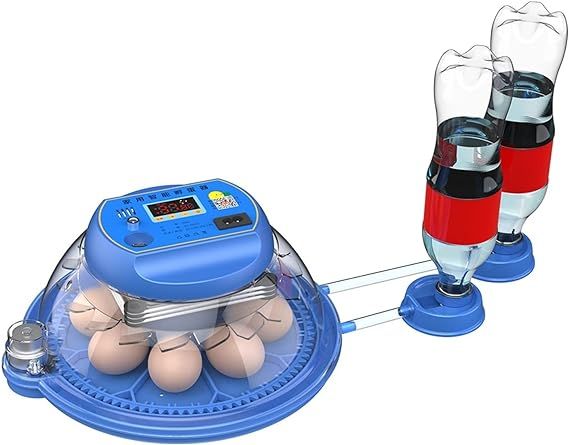 8 Eggs Intelligent Round Full Automatic Incubator Dual Supply AC-DC
