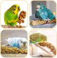 Bird Seed Parakeet Food - 500gm  Vacuum Sealed Millet Treat for Birds Parakeets Natural Sun-Dried Birds Millet for Cockatiel Budgie Finches Parrots. 