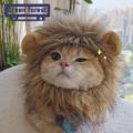 Cute Lion Cat Hat Adorable Lion Style Pet Hat Soft Breathable Lightweight Headwear for Dogs Cats Perfect Photography Prop Friendly to Skin Ideal for Southeast Asian Buyers Cat Hat. 