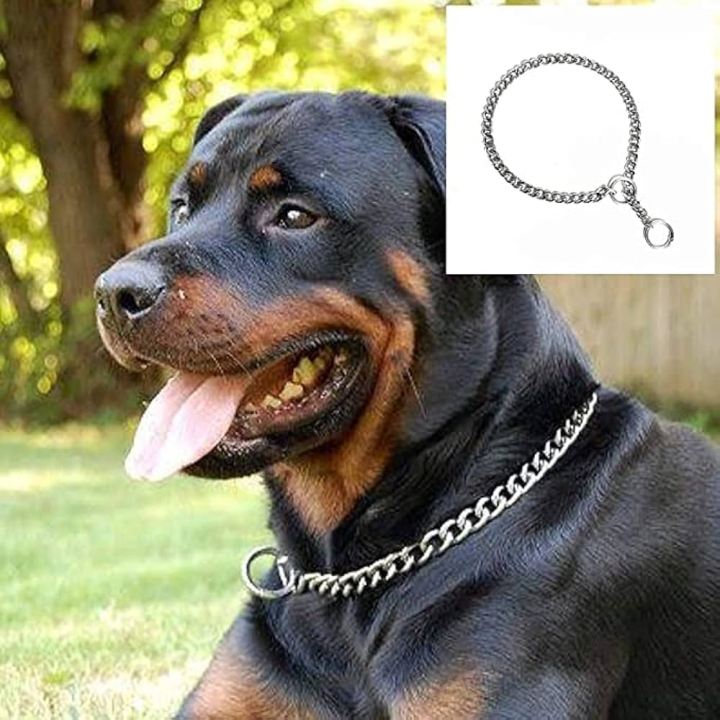 Stainless%20steel%20Dog%20choke%20chain%20(small)%20-%20Image%202