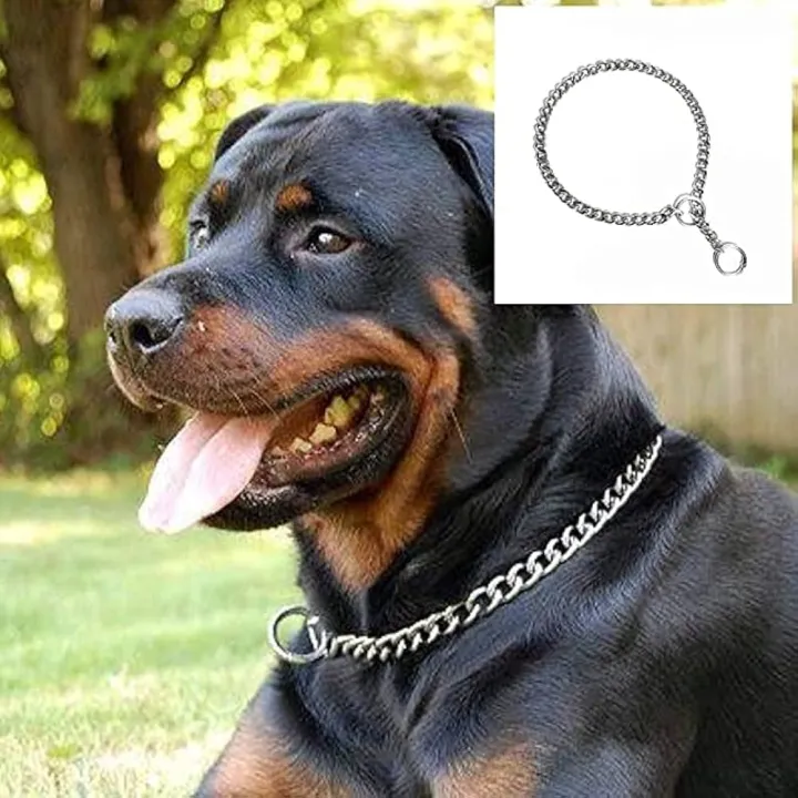 Stainless%20steel%20Dog%20choke%20chain%20(small)%20-%20Image%202