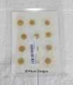 1 pack White Daisy Flowers - Dried Pressed flowers for Resin Art. 
