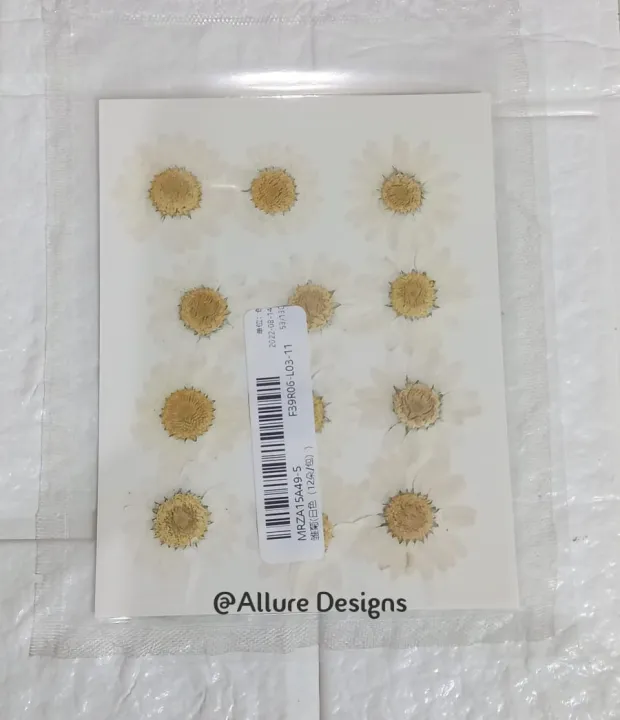 1%20pack%20White%20Daisy%20Flowers%20-%20Dried%20Pressed%20flowers%20for%20Resin%20Art%20-%20Image%203