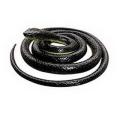 Artificial Rubber Snake (prank and fun). 
