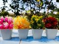 Pack of 12 Plant Artificial Decoration Piece with pot Best for home & Office Decoration purpose 4inch height. 