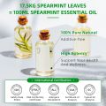 Lethe Ling HIQILI Spearmint Vanilla Rose Cinnamon Lemon Essential Oils,100ML Pure Oil for Diffuser, Humidifier, Massage Muscle Relief Bath. 