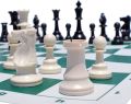 High-grade plastic chess set international chess game ABS plastic steel chess pieces only chess geetian. 