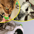 Cat Snacks Catnip Pet Candy Licking Fixed Cat Nutrition Gel Energy Ball Toy For Cats Snack Ball. 
