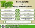 Oregano Essential Oil Pakistan 100% Wild Organic. 