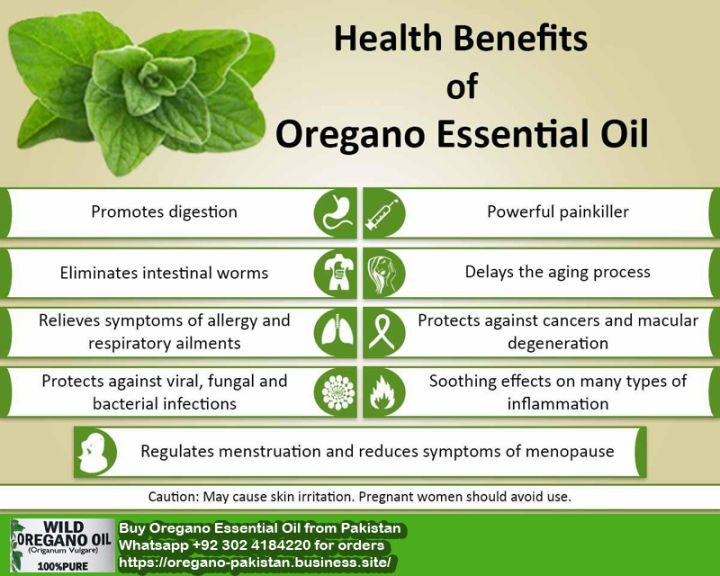 Oregano%20Essential%20Oil%20Pakistan%20100%25%20Wild%20Organic%20-%20Image%205