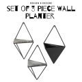Indoor Wall Planter and Wooden Wall Display Shelves with Black Metal Frames Metal. 