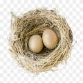 Nesting Material for Birds II PACK of 3 + 1pc Extra on Every Order .|| Grass Nest For Finches And Small Birds | nesting material | Coconut Fiber, Nesting Material Birds Coconut Grass For Small Nesting Birds - 25 to 30 grams. 