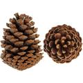 2 pecs Natural pine cone  for decoration. 