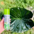 Perfect Plant Leaf Shine Spray – 200ml. 