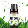 Tea Tree Fragrance Oil - Candle Making Scent - Home Diffuser Fragrance Oil - Cosmetic Making ,Lip Balm,Soap making Fragrance Oil. 