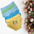 Pack Of 5 Kids Underwear For Boys. 
