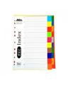 PVC Index Sheet A4 With Tabs - HS&AG. 